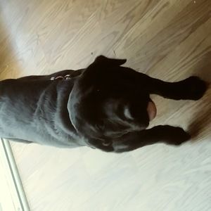 Meet your Posher, Super